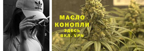 мдпв Заводоуковск