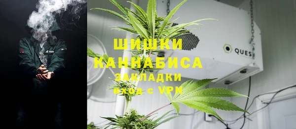 мдпв Заводоуковск