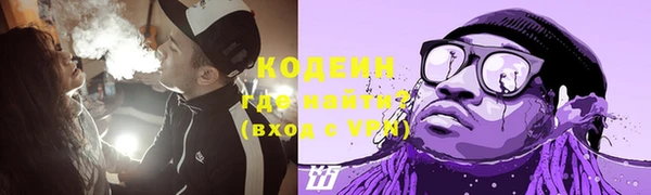 мдпв Заводоуковск