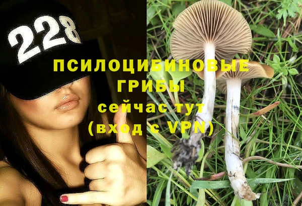 марки lsd Заволжск
