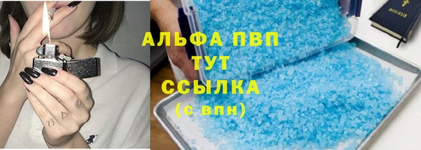 прущие грибы Рославль