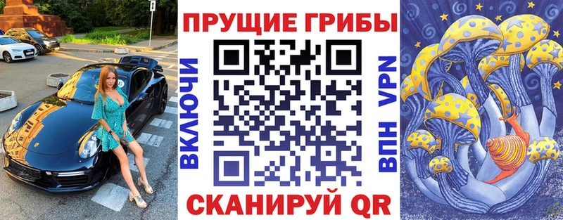 где продают наркотики  Канск  Псилоцибиновые грибы Magic Shrooms 