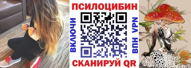 Псилоцибиновые грибы Psilocybine cubensis Канск
